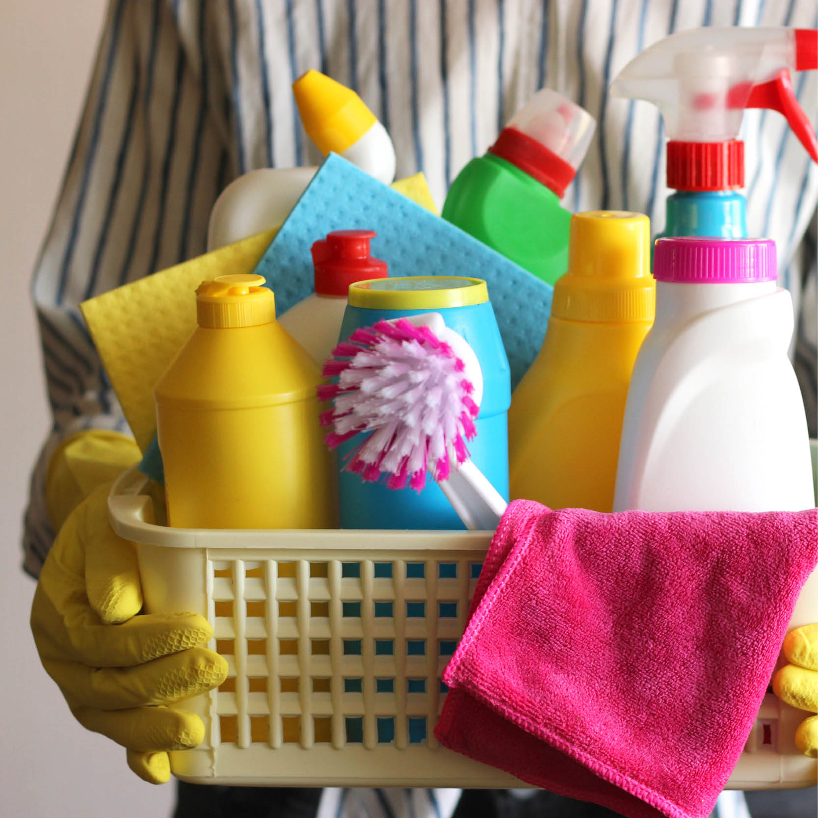 Janitorial & Facility