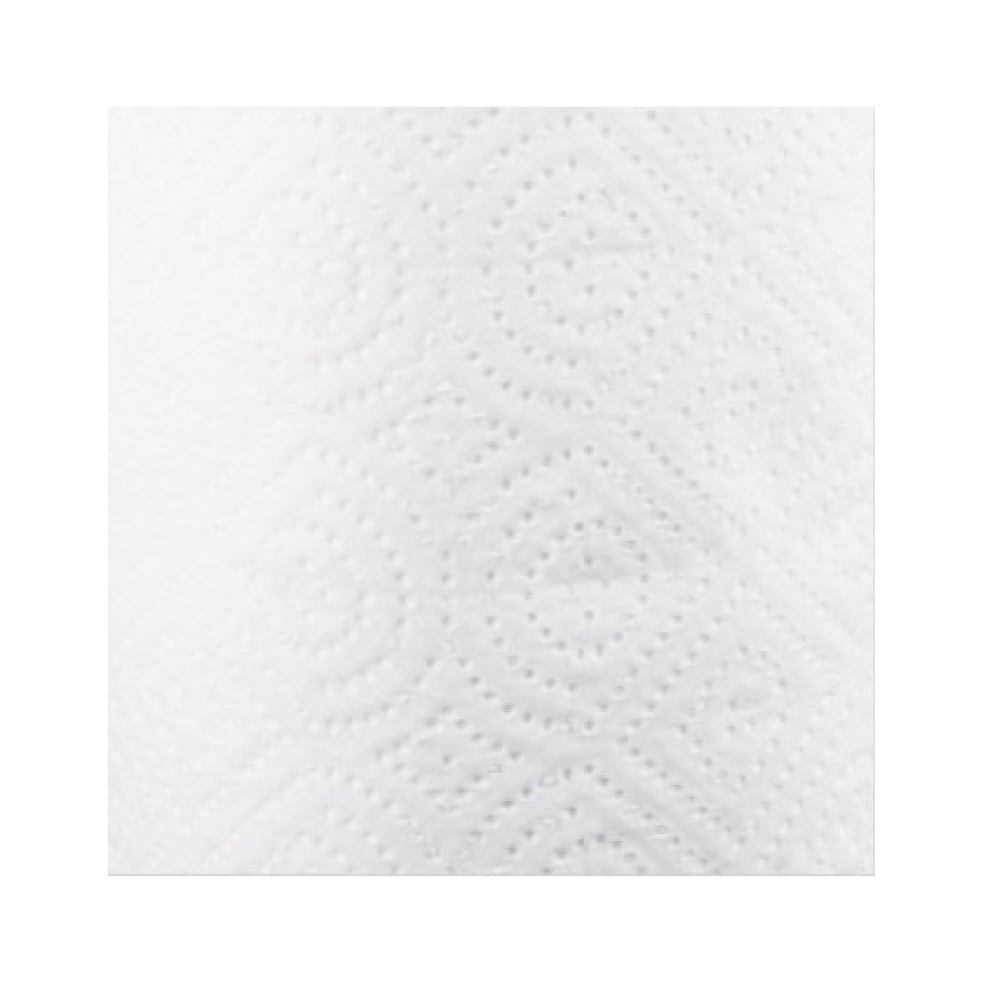 Windsoft WIN1220 Kitchen Roll Towels, 2-Ply, 11" x 8.8", White, 100/Roll, 30 Rolls/Carton