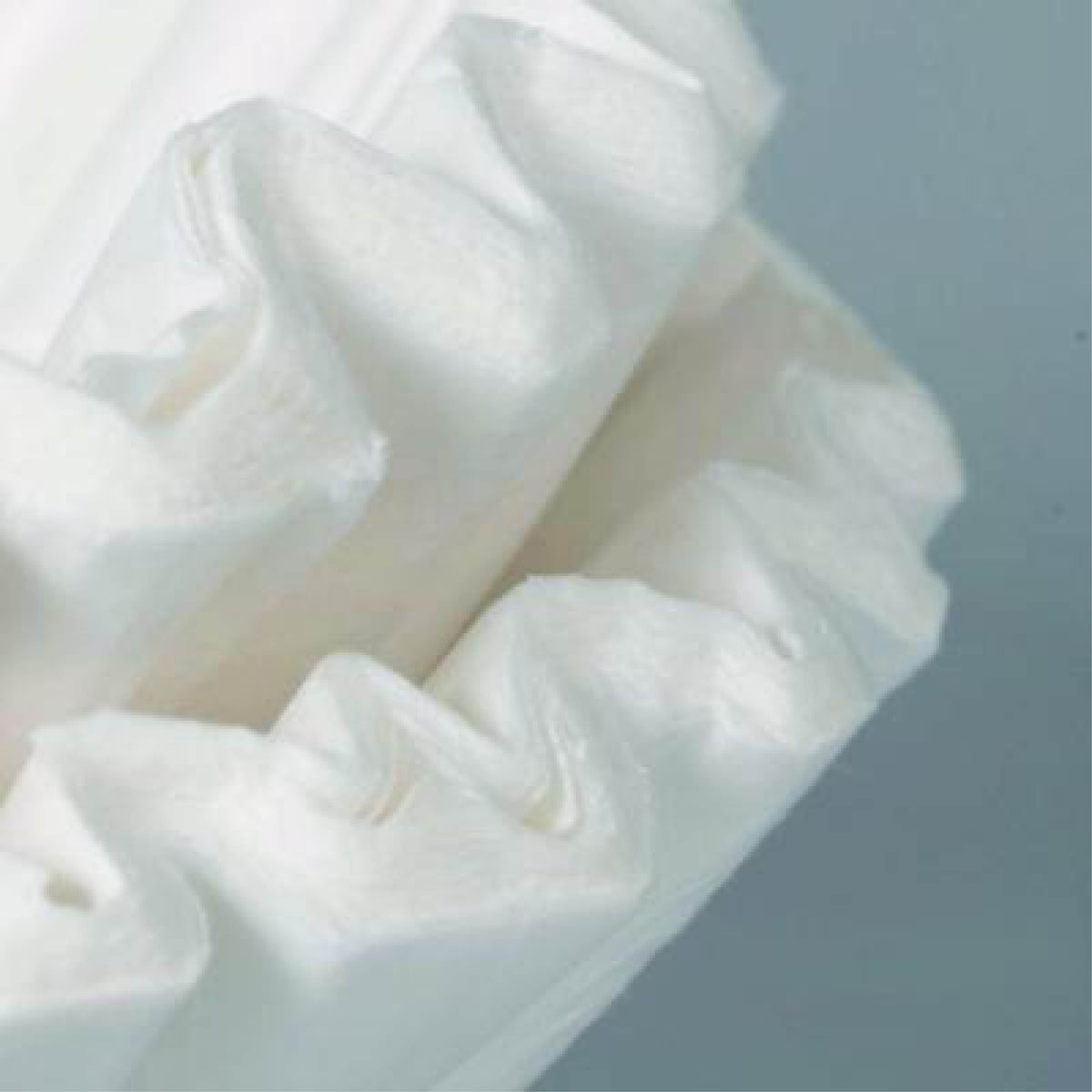 BUNN 12 Cup Coffee Filters 1000/Case